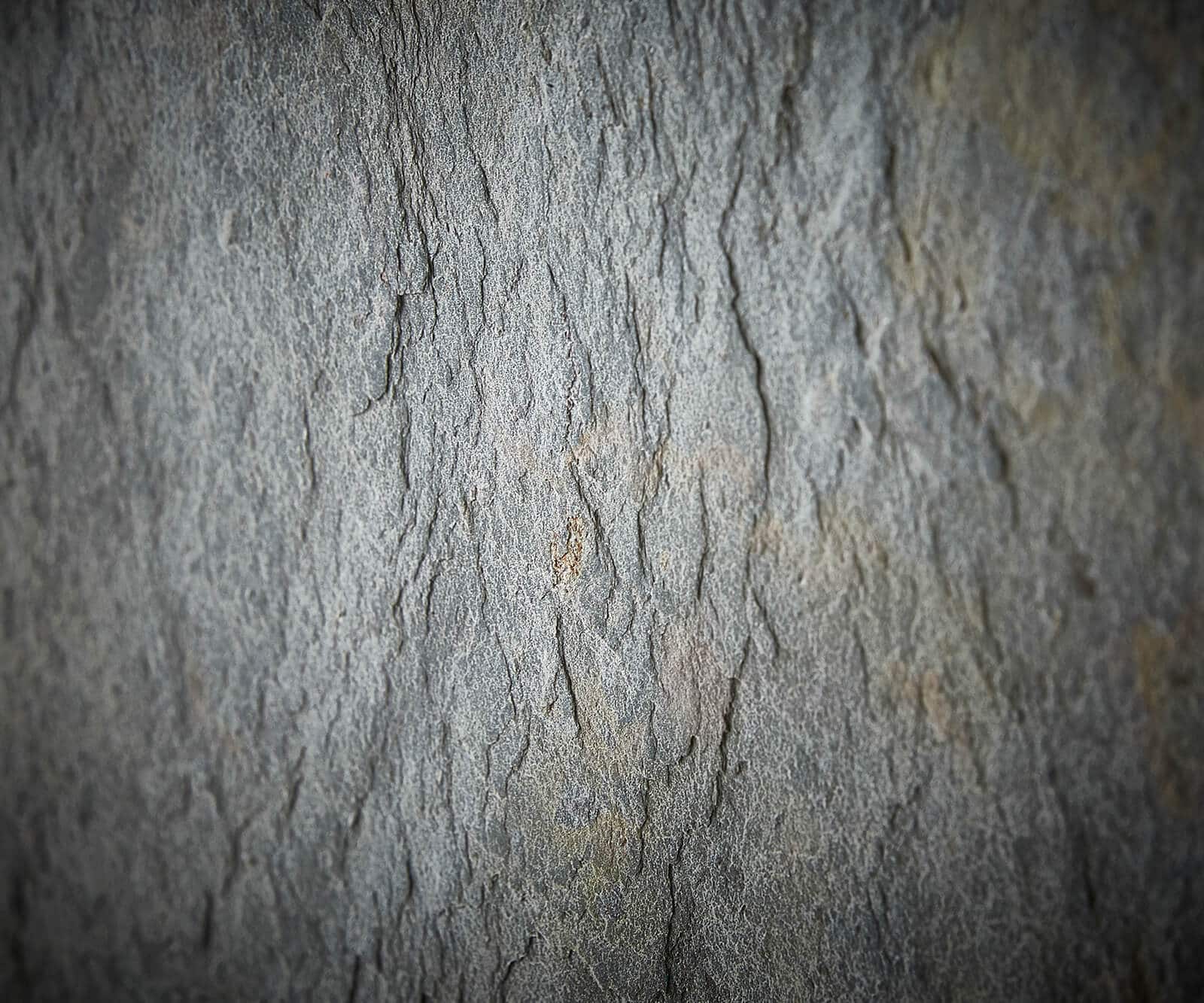 Бюфет 150 cm Акация Натурал с каменен фурнир Juwelo 3 Бюфет 150 cm Акация Натурал с каменен фурнир Juwelo 3